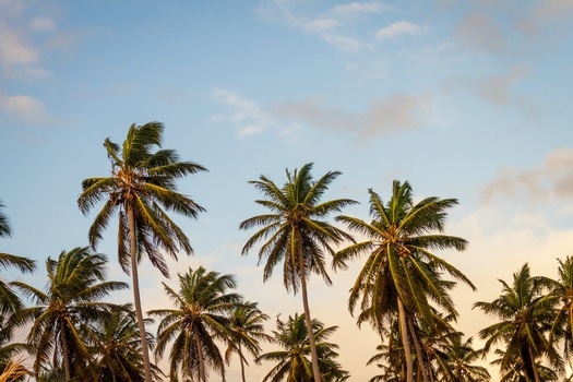 sky-beach-vacation-summer-medium